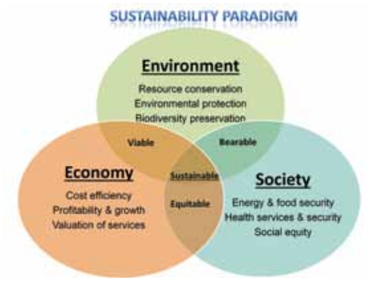 Sustainability paradigm balancing economic, environmental and social objectives