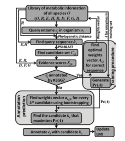 Flow chart depicting the methodology of “Systematic, Homology-based Automated Re-annotation of Prokaryotes (SHARP)” that uses distant-context based sequence similarity, functional region similarities, bidirectional hits for gene-protein-reaction (GPR) association prediction. 3781 new GPR associations in 10 different bacterial species predicted using SHARP led to filling 7718 gaps in the metabolic network. Flow chart depicting the methodology of “Systematic, Homology-based Automated Re-annotation of Prokaryotes (SHARP)” that uses distant-context based sequence similarity, functional region similarities, bidirectional hits for gene-protein-reaction (GPR) association prediction. 3781 new GPR associations in 10 different bacterial species predicted using SHARP led to filling 7718 gaps in the metabolic network.