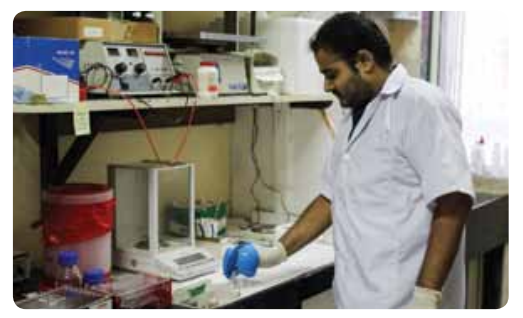 Recombinant whole cell enzyme and antigen display systems Recombinant whole cell enzyme and antigen display systems