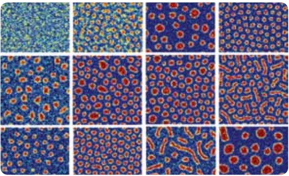 Self-assembled structures obtained in heteroepitaxial system as the growth conditions are varied. The structures are predicted using our computational framework