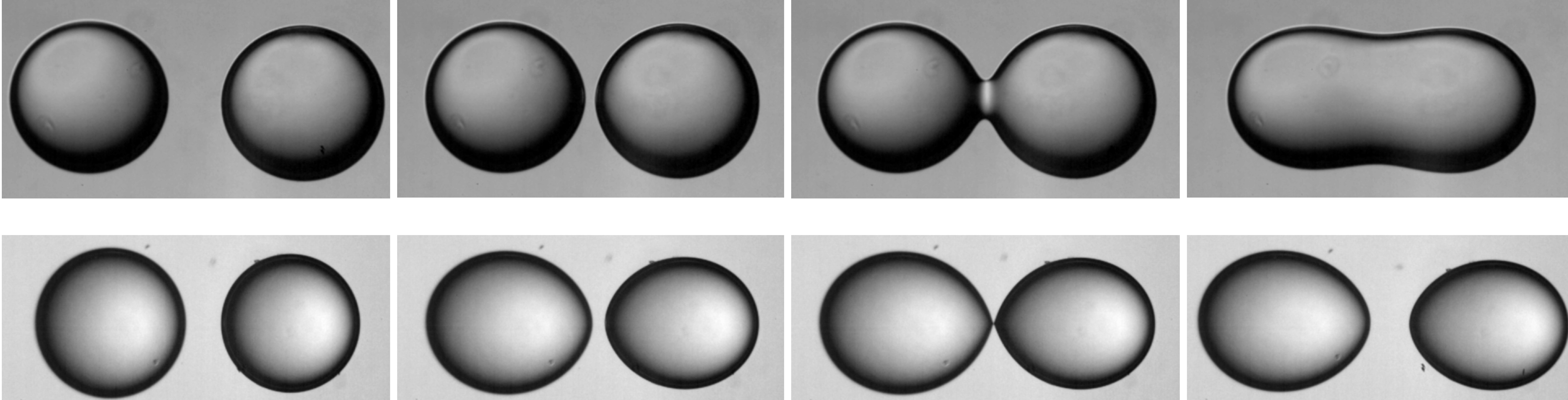 Non-coalescence of suspended droplets under electric field