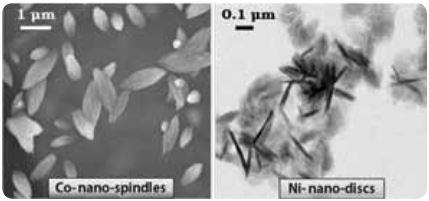 Hierarchical magnetic nanostructures of cobalt and nickel obtained by chemical reduction method.