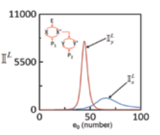 Intrinsic noise propagates during signal transduction through series enzymatic cascade consisting of two sequential phosphorylationdephosphorylation cycles. Noise is amplified for a certain range of total number of upstream enzyme e0 . Noise estimated from 5000 trajectories simulated using Gillespie algorithm.