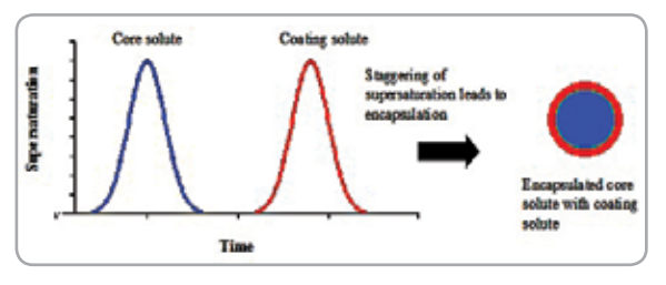 Mechanism for encapsulation of core solute with coating solute