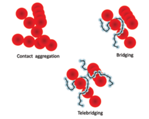 A variety of different microstructures available to nanorods as they phase separate from a polymer melt.