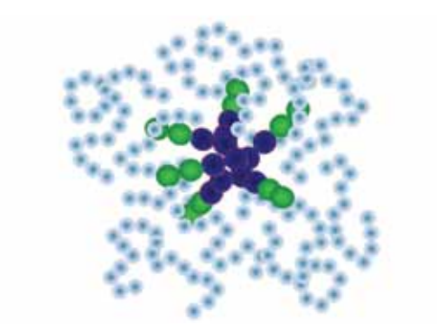 A colloidal micelle (made of Janus rods) within a polymer melt.