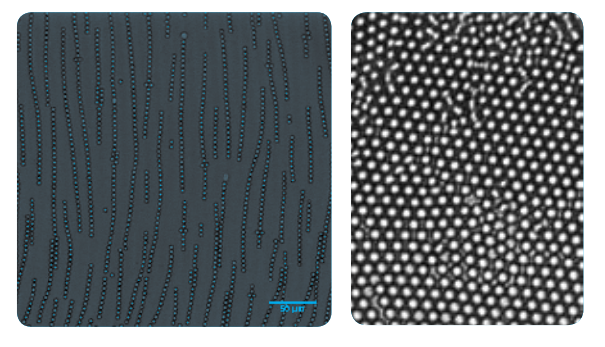 Chain formation and particle ordering of colloidal particles when a colloidal dispersion is subject to electric field.