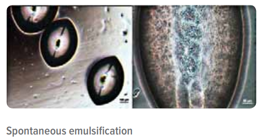 (a)Water drops suspended in paraffin + SPAN 80 (75 mg/ mL oil) Spontaneous emulsification of paraffin inside water drops causes distortion of drops. (b) Flocks of extremely fine paraffin droplets inside water drop