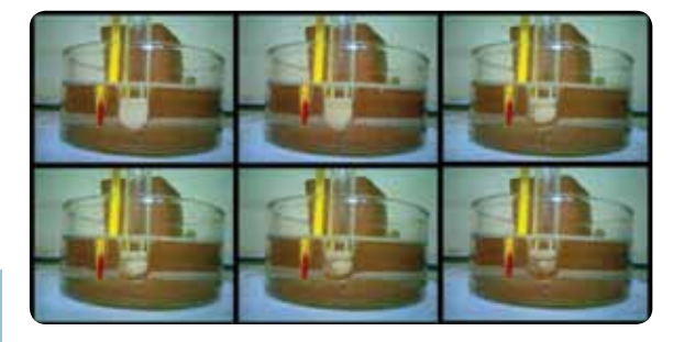 Transition from opaque dispersed sugar-surfactant mixture in oil in to clear one phase. We observe that the mixture spontaneously self-assembles in to a microemulsion. The above figure is for sample at 75⁰C in a silicon oil bath with each frame taken at 2 min intervals.