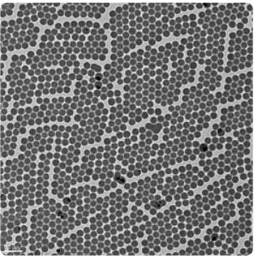 A blend of polystyrene latex particles and titanium oxide nanoparticles