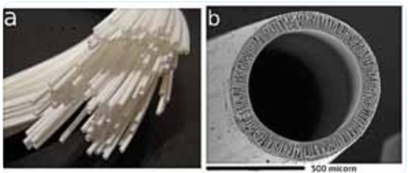 Hollow fiber membrane for biomedical application