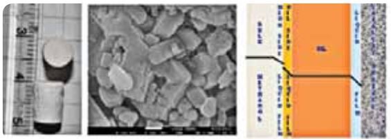 Metal Catalysts for the Synthesis of Biodiesel