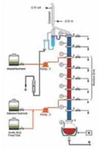 Experimental setup for continuous reactive distillation (CRD)