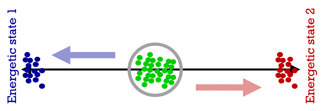 Speciation in the face of Gene Flow