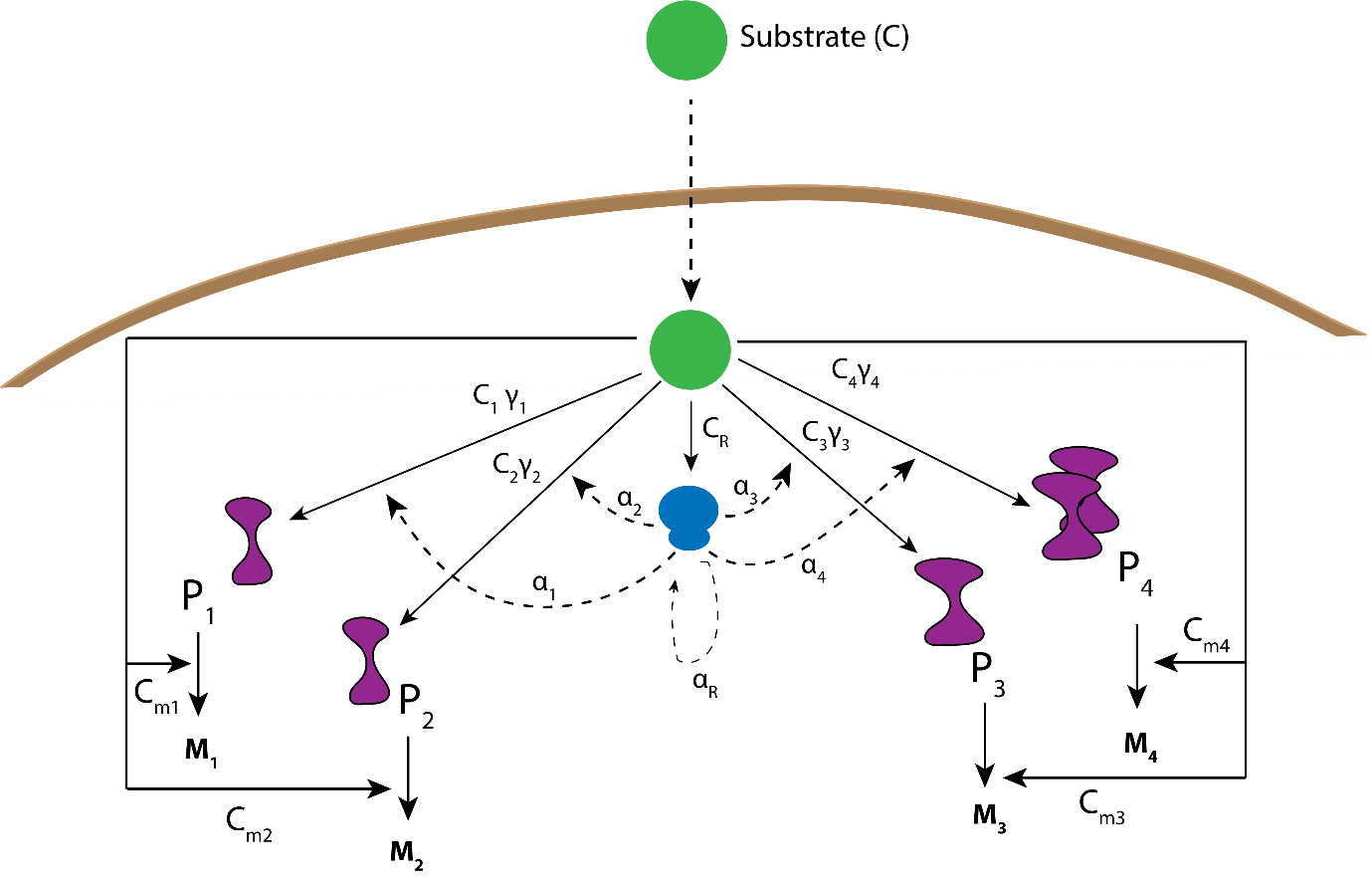 Reversibility of evolutionary processes