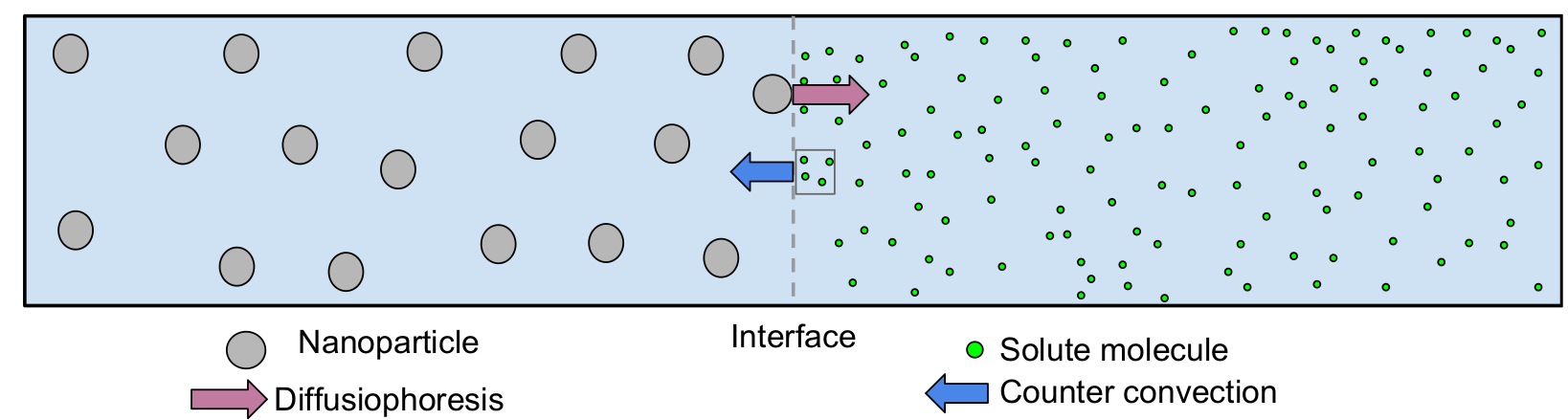 Diffusiophoretic motion of nano-particle induces a counter-convective motion, resulting in an apparent increase in the "diffusion" or mass transfer of the dye. of dye solution