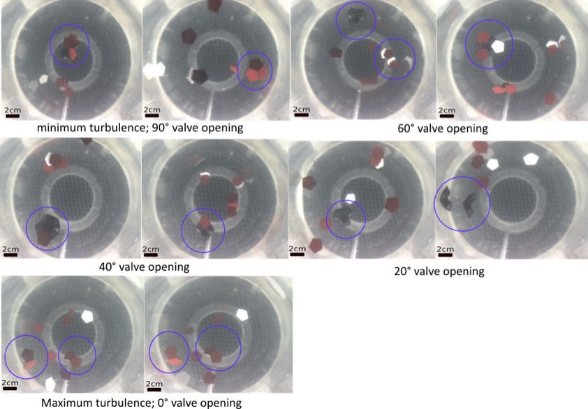 Self-assembly of pentagon plates a dodecahedral virus-type geometry