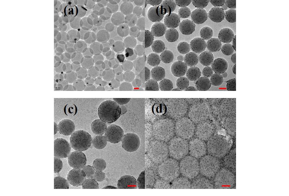 Polymer nanocomposites as anti-microbial functional coatings