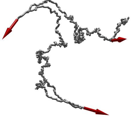 Fluctuation of biopolymers