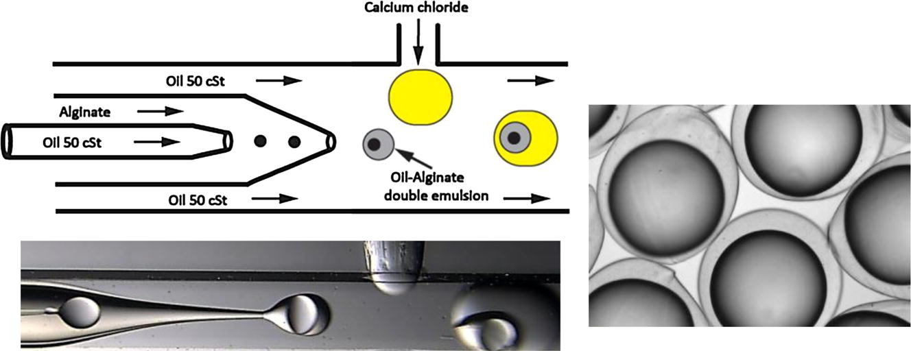 Microfluidics as a tool for generation of biomaterials