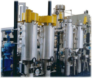 critical_fluid_extraction_pilot_plant_at_iitb