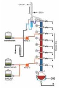 Reactive Distillation