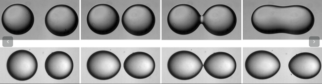 A controled noncoalescence of water droplets in oil manipulating with an externally applied electric field