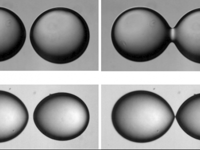 A controled noncoalescence of water droplets in oil manipulating with an externally applied electric field