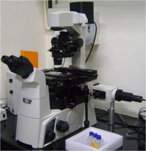 nikon fluorescent microscope