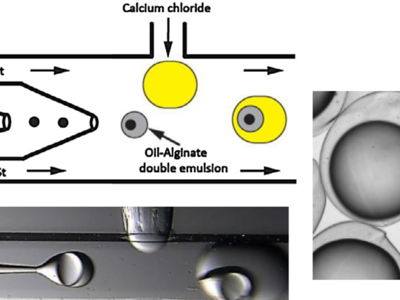 Microparticles and microcapsules have numerous applications in the fields of drug delivery, tissue engineering, photonics, disease diagnosis, etc. to name a few.